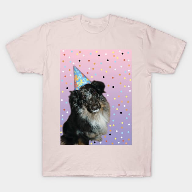Birthday Aussie Shepard Puppy T-Shirt by PandLCreations